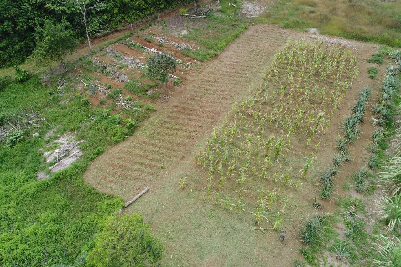 Hope Garden, Sarapiqui, We Connect With The Tropical Forest Farm stay Sarapiqui