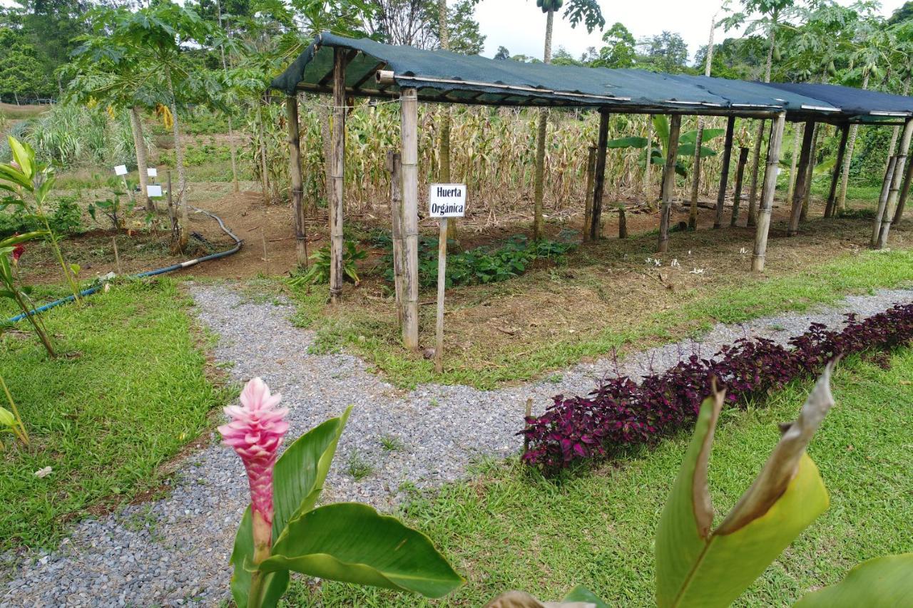 Hope Garden, Sarapiqui, We Connect With The Tropical Forest Farm stay *