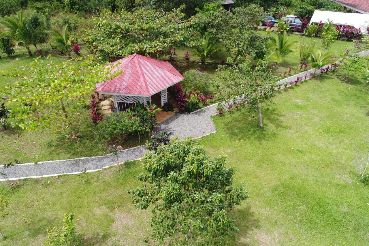 Farm stay Hope Garden, Sarapiqui, We Connect With The Tropical Forest Sarapiqui