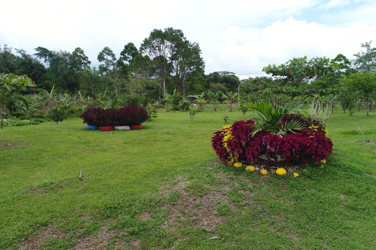 Farm stay Hope Garden, Sarapiqui, We Connect With The Tropical Forest Sarapiqui