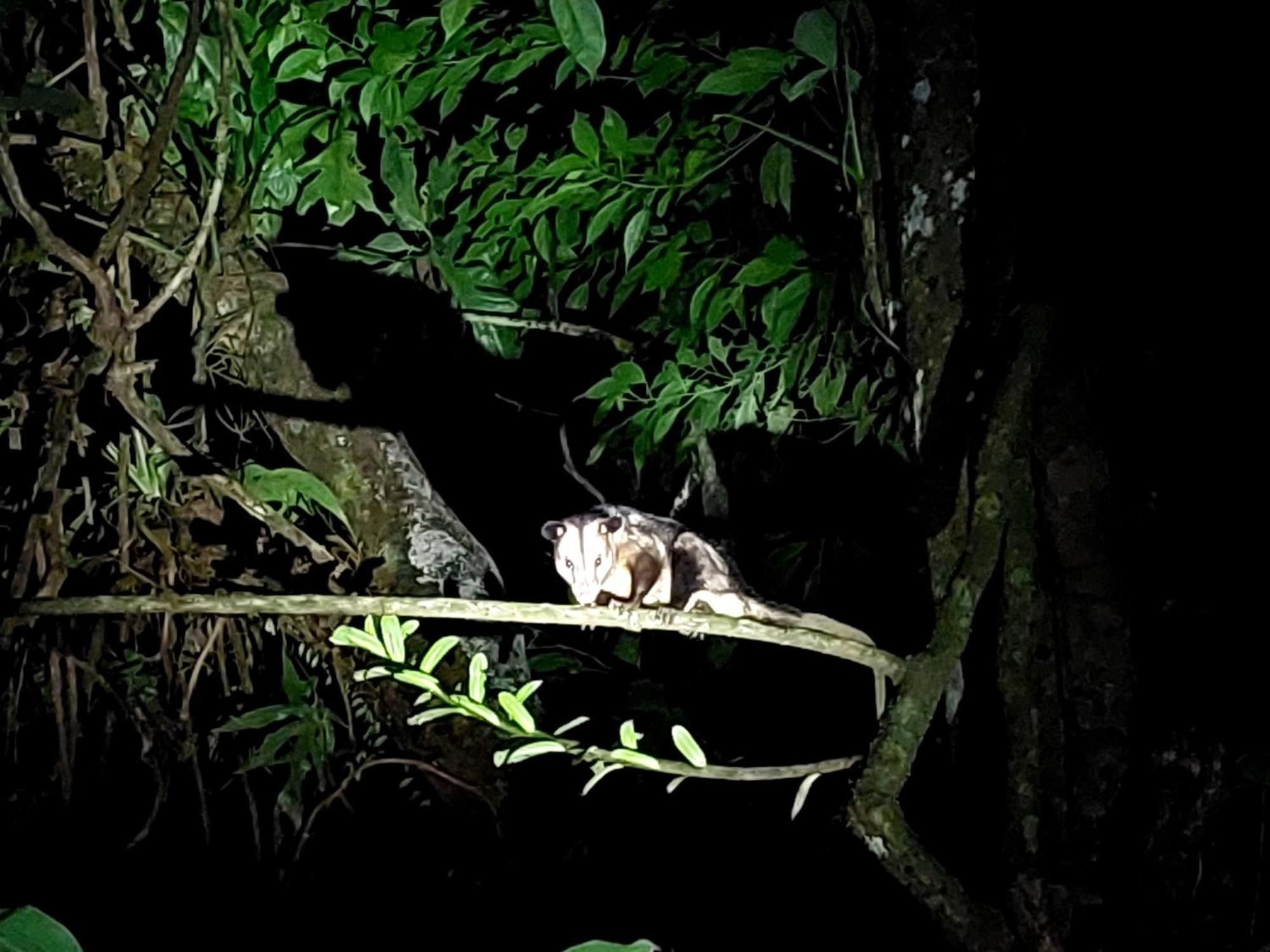 Hope Garden, Sarapiqui, We Connect With The Tropical Forest *
