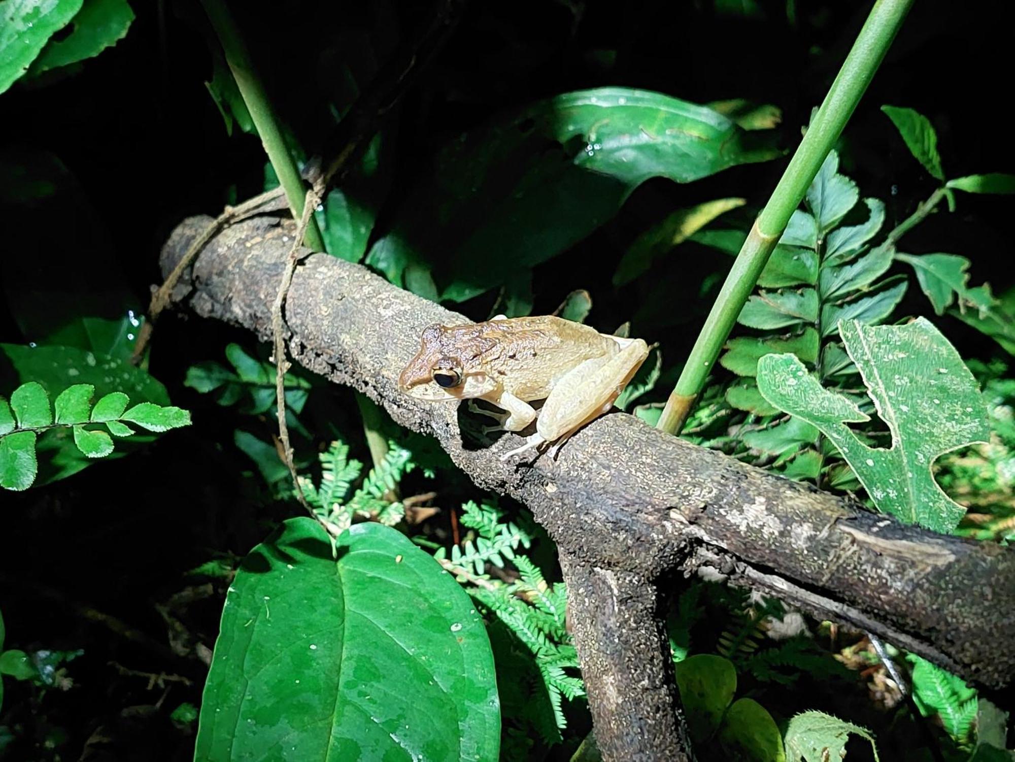 Hope Garden, Sarapiqui, We Connect With The Tropical Forest Farm stay Sarapiqui