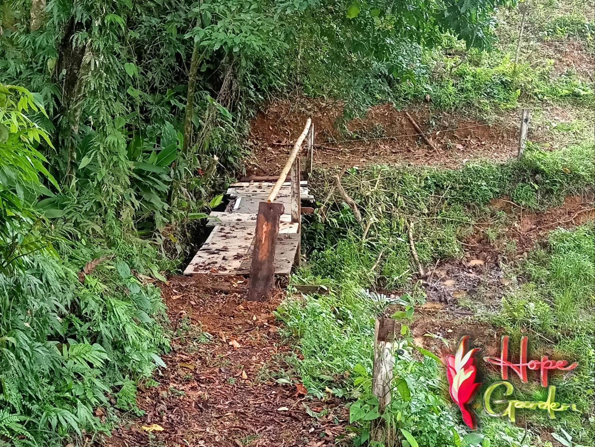 Hope Garden, Sarapiqui, We Connect With The Tropical Forest