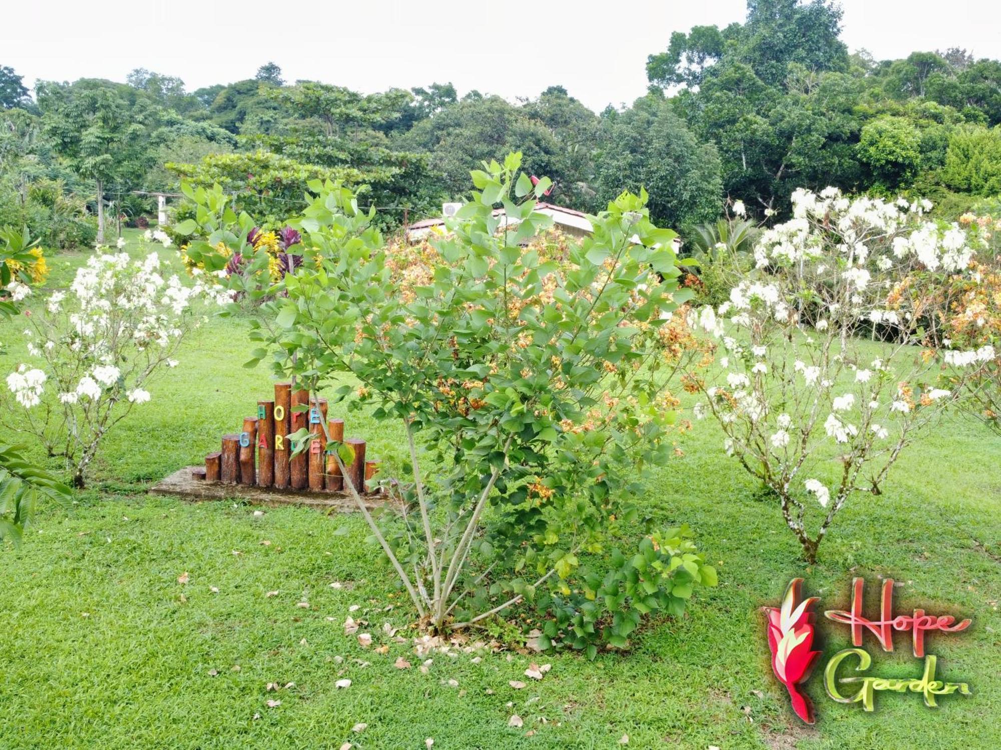 Farm stay Hope Garden, Sarapiqui, We Connect With The Tropical Forest *