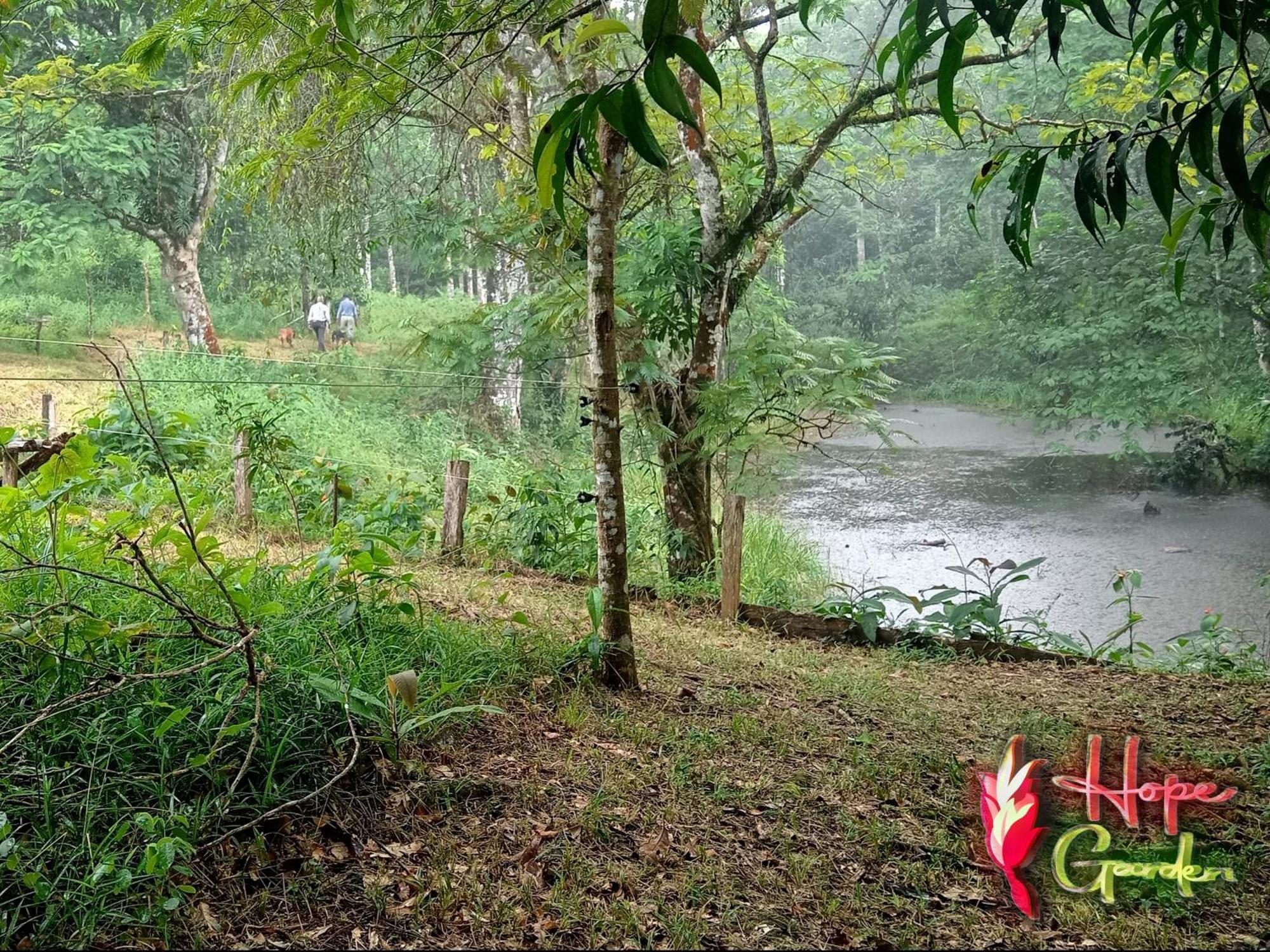 Hope Garden, Sarapiqui, We Connect With The Tropical Forest Farm stay Sarapiqui