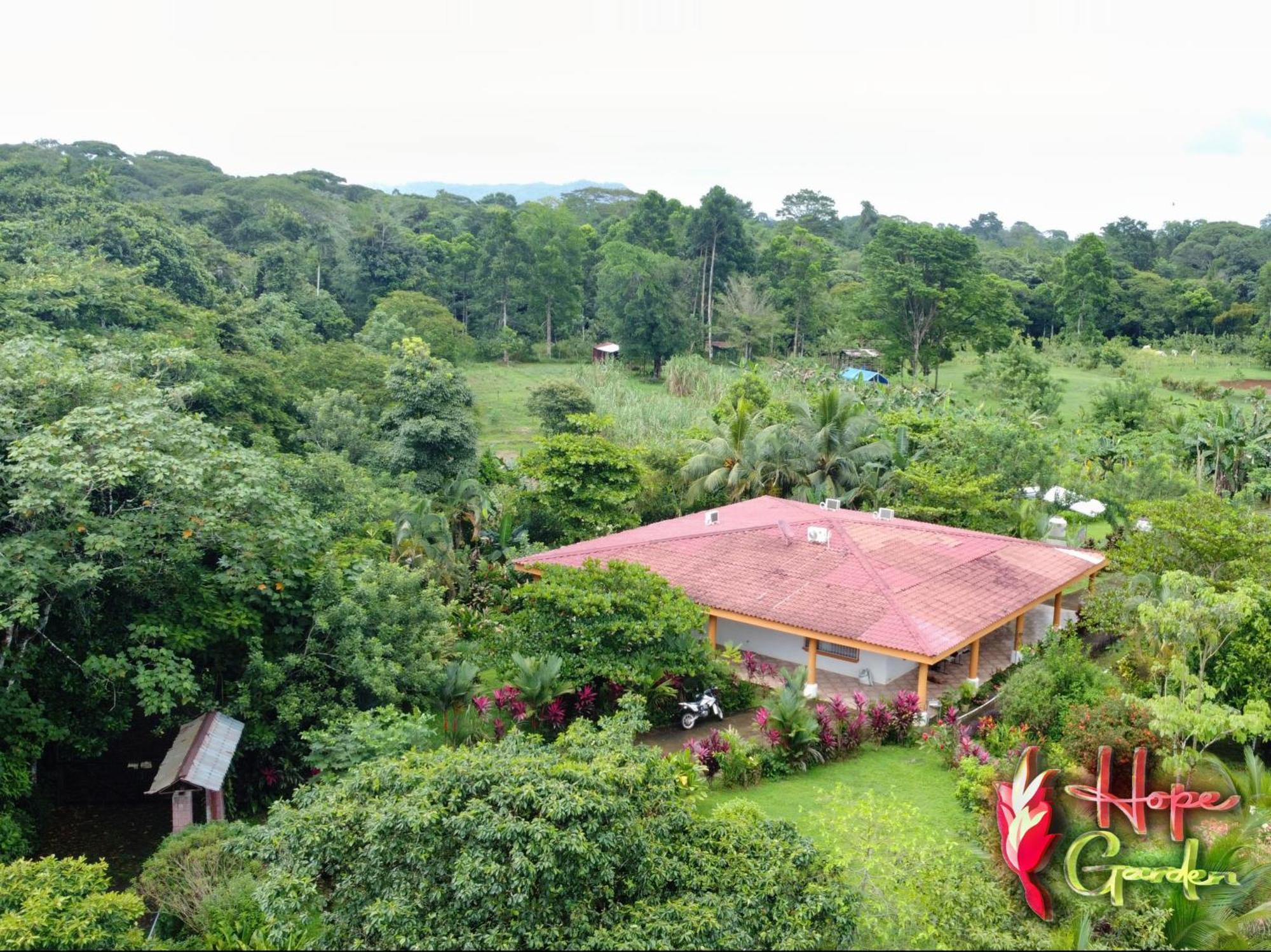 Hope Garden, Sarapiqui, We Connect With The Tropical Forest