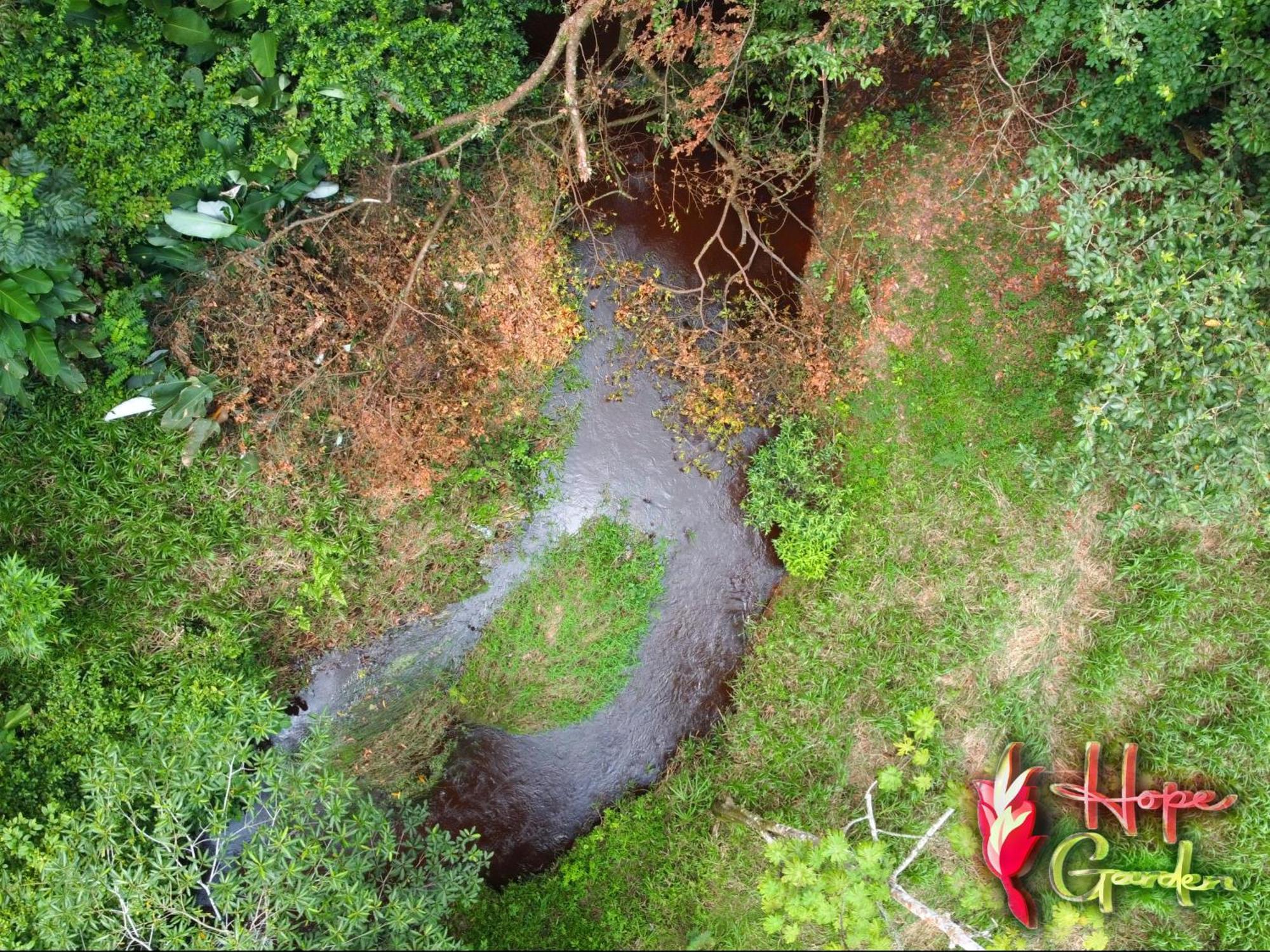 Hope Garden, Sarapiqui, We Connect With The Tropical Forest Farm stay Sarapiqui