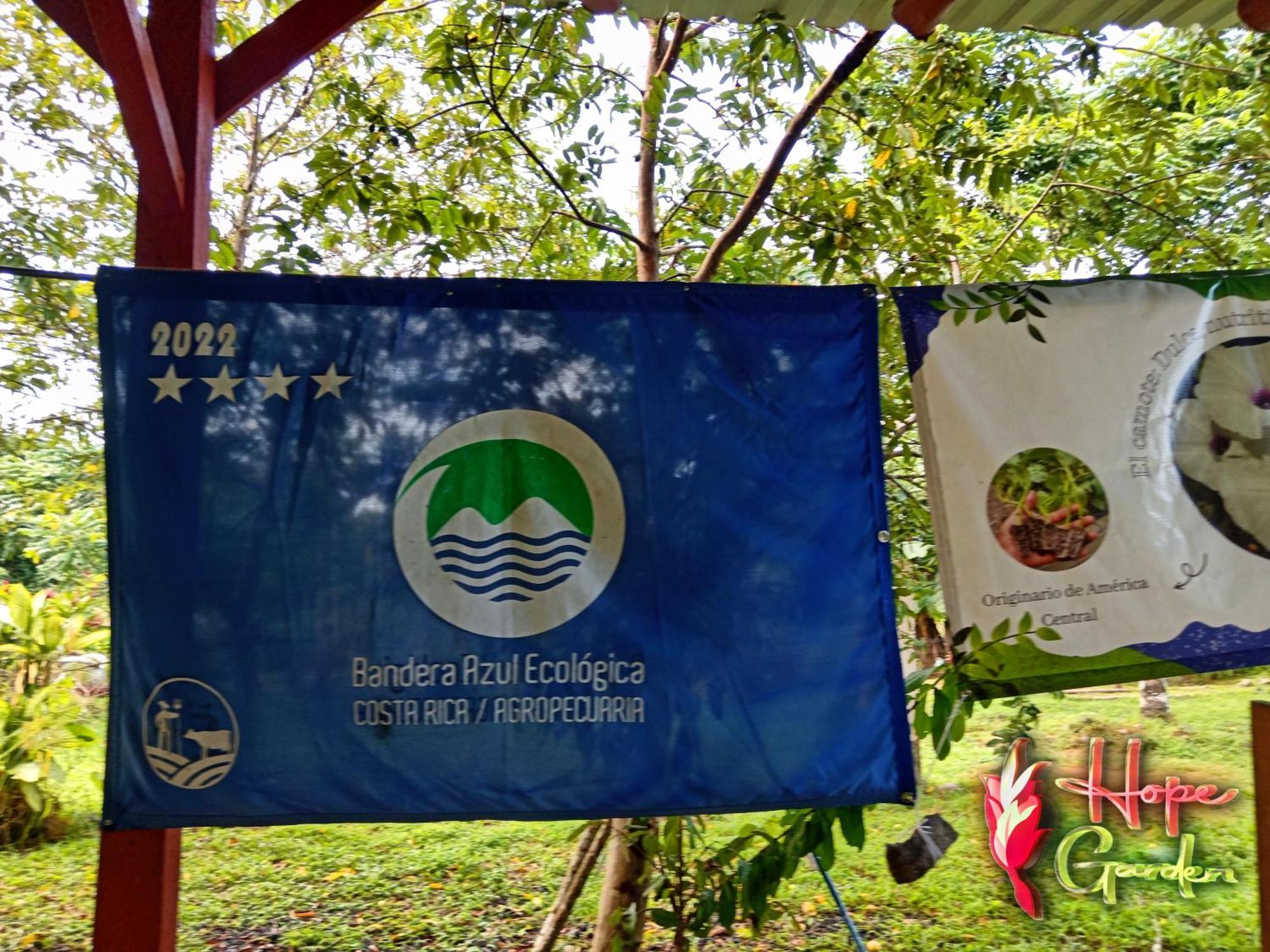 Hope Garden, Sarapiqui, We Connect With The Tropical Forest * Sarapiqui