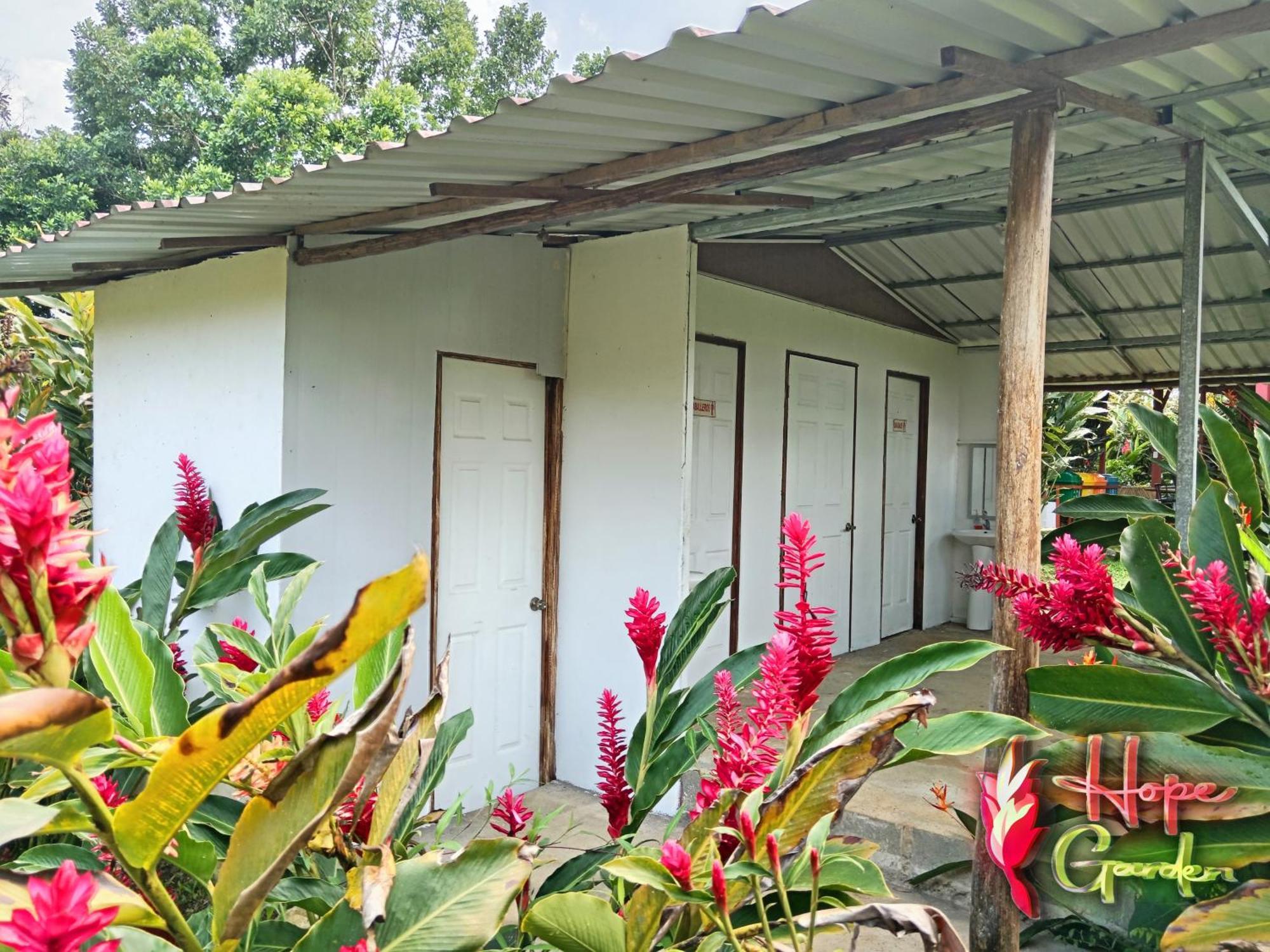 Hope Garden, Sarapiqui, We Connect With The Tropical Forest